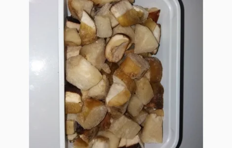 Кубік білого гриба заморожений