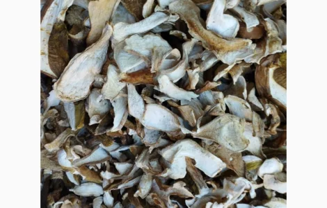 Сушені білі гриби із Закарпаття 2024 білі 1 сорт ціни вказані за 1 кг