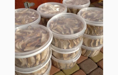 Білий гриб відерця 3 літри