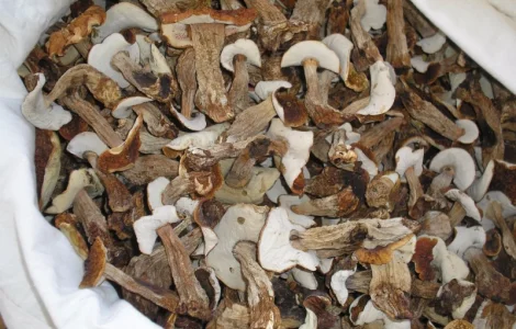 Продам сухие белые грибы
