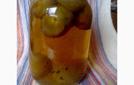 Гриб веселка гриб панна 1л