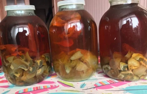 Продаю настоянку та висушені гриби Веселки