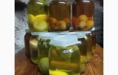 Гриб Веселка панна 1л на продаж