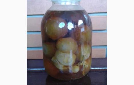 Продам настойку гриба веселка