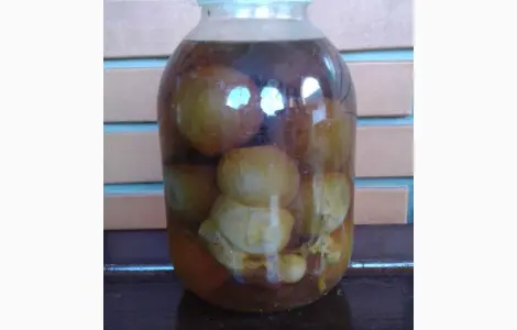 Настойка гриба веселка на продаж