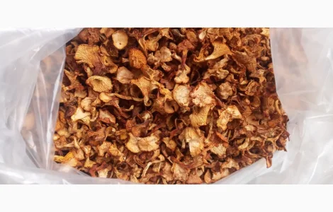 Продам гриб лисичка суха карпатська