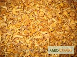 Грибы лисички замороженные