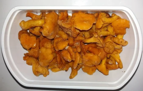 Лисичка морожена