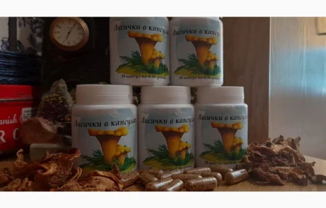 Лисички сушеные