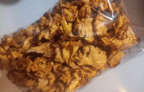 Лисички сушені урожай 2024