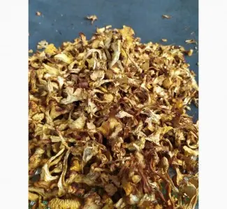 Сушеные лисички грибы на продажу