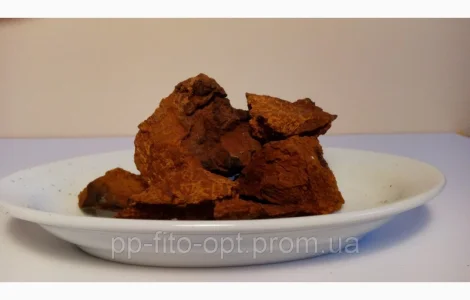 Продам березовый гриб чага 500 грам