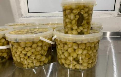 Продам гриби шампіньйони мариновані в пластикових відерцях