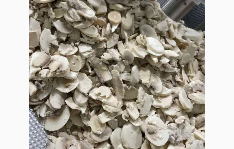 Продам гриб шампиньон замороженный