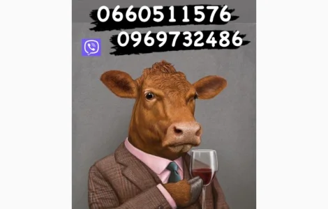 Проводимо закупку гавядини овець баранів ярок