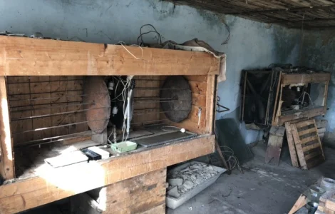 Кроличка, крольчата, кролики на племя