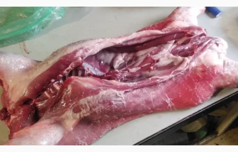 Продам мясо нутрии тушка