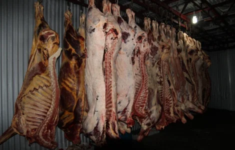 М'ясо Свіже Полотуші