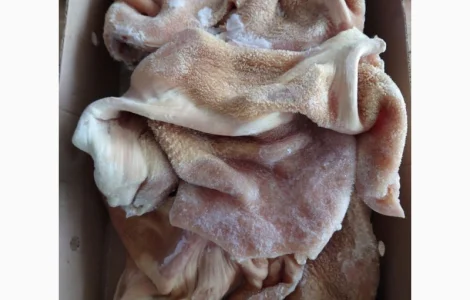 Продам рубець митий, чищений