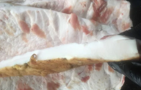 Продам сало домашнее высмаленое