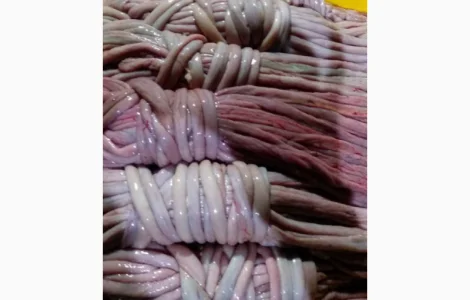 Куплю свиную кишку