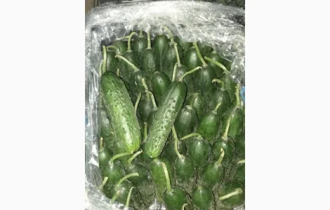 Продам цитрусовые и овощи с Турции от поставщика