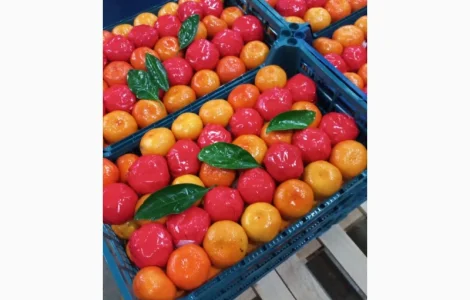 Продам мандарини та лімони від поставщика з 5 тонн