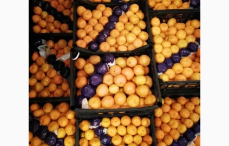 Срочно продам апельсіни, мандарини та лимони від постачальника