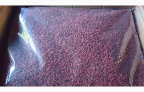 500 Ягоди годжі (Ягоды Годжи) опт и розница