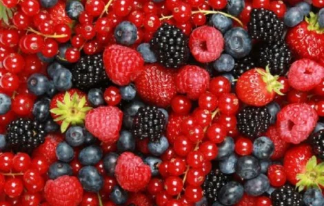 Овощи, фрукты и ягоды оптом