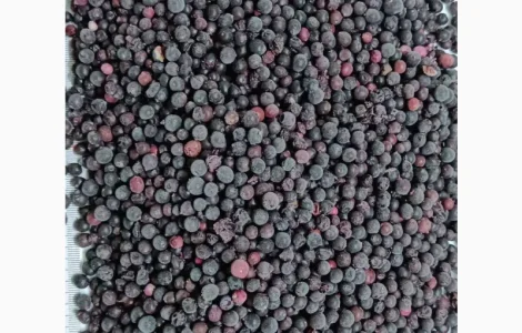 Горобина заморожена