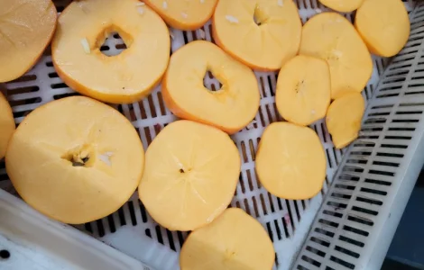 Продам сухе і морожене