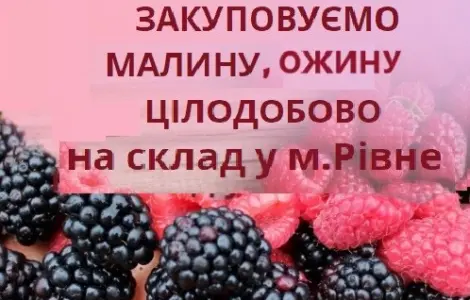 Купуємо лісову малину та ожину