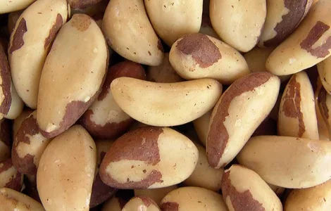 Продаём бразильский орех