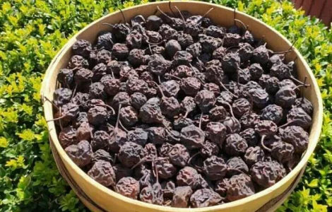 Продам сушку з домашніх яблук та груш(дичка та різана)