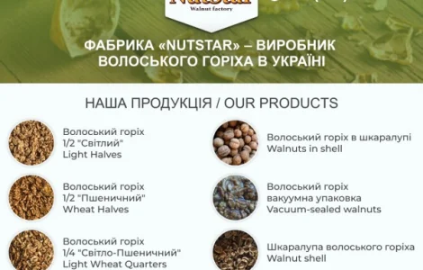 Волоський горіх від виробника на експорт, 1/2, 1/4, ядро, мікс, fca