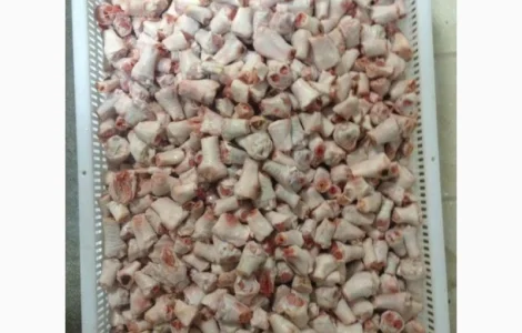 Куриный сустав лапы