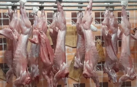 Продам тушку кролика