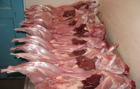 Свежий кролик от фермы Термонці в продаже