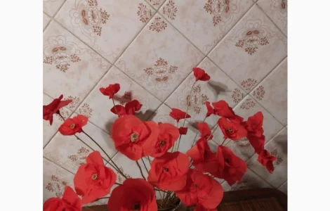 Продам колоски пшениці та квіти маку для квіткових композицій та декору