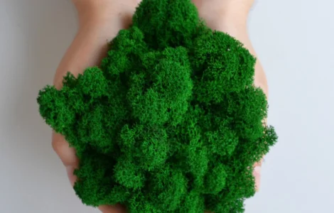 Стабилизированный ягель на вес