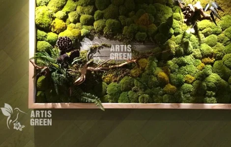 Стена из декоративного стабилизированного мха
