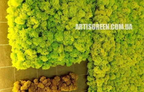 Картины и панно из мха и стабилизированных растений