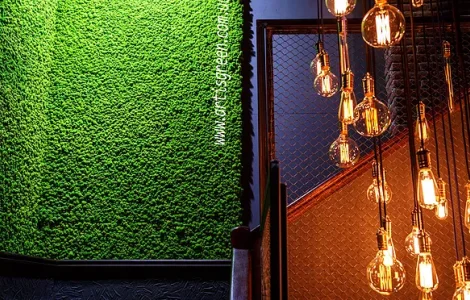 Стабилизированный мох ягель на панелях