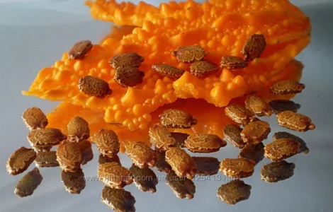 Момордика семена