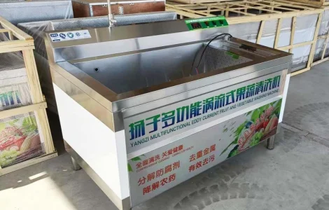 Барботажна вихрова мийка продуктів з ніжною шкіркою STvega WS