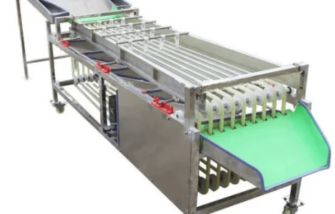 Сортировочно-калибровочная машина для овощей и фруктов STvega Sorting H2000