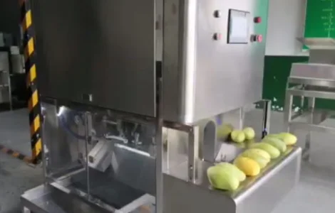 Очищення від шкірки та видалення кісточки манго STvega MP H800 A