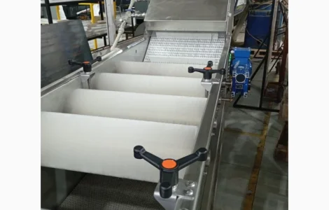 Барботажна мийка з додатковим рядом щіток для миття овочів та фруктів