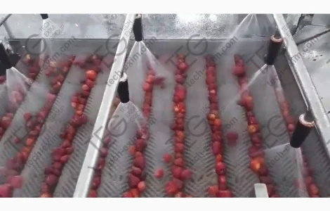 Щіткова миюча машина для ягід, овочів, фруктів і.т.д